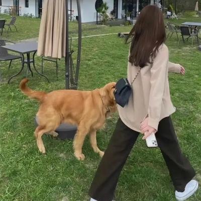 你好火焰蓝